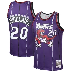 Magnifico Comodo Cool Damon Stoudamire Toronto Raptors 1995/96 Hardwood Classics Swingman Jersey Purple
