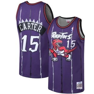 Magnifico Prestigioso Duraturo Vince Carter Toronto Raptors 1998/99 Hardwood Classics Swingman Jersey Purple/White